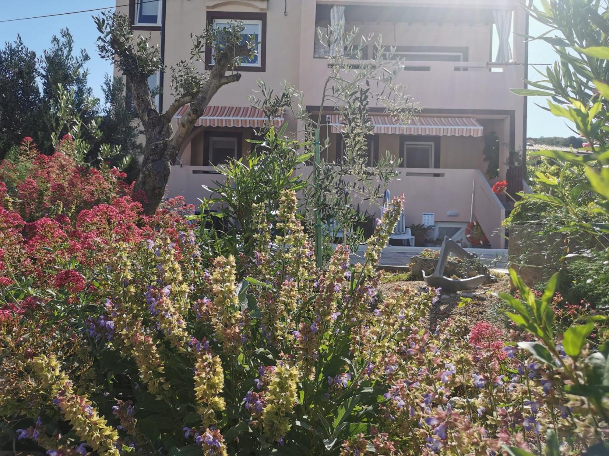 Apartman Franolic Punat Exterior foto